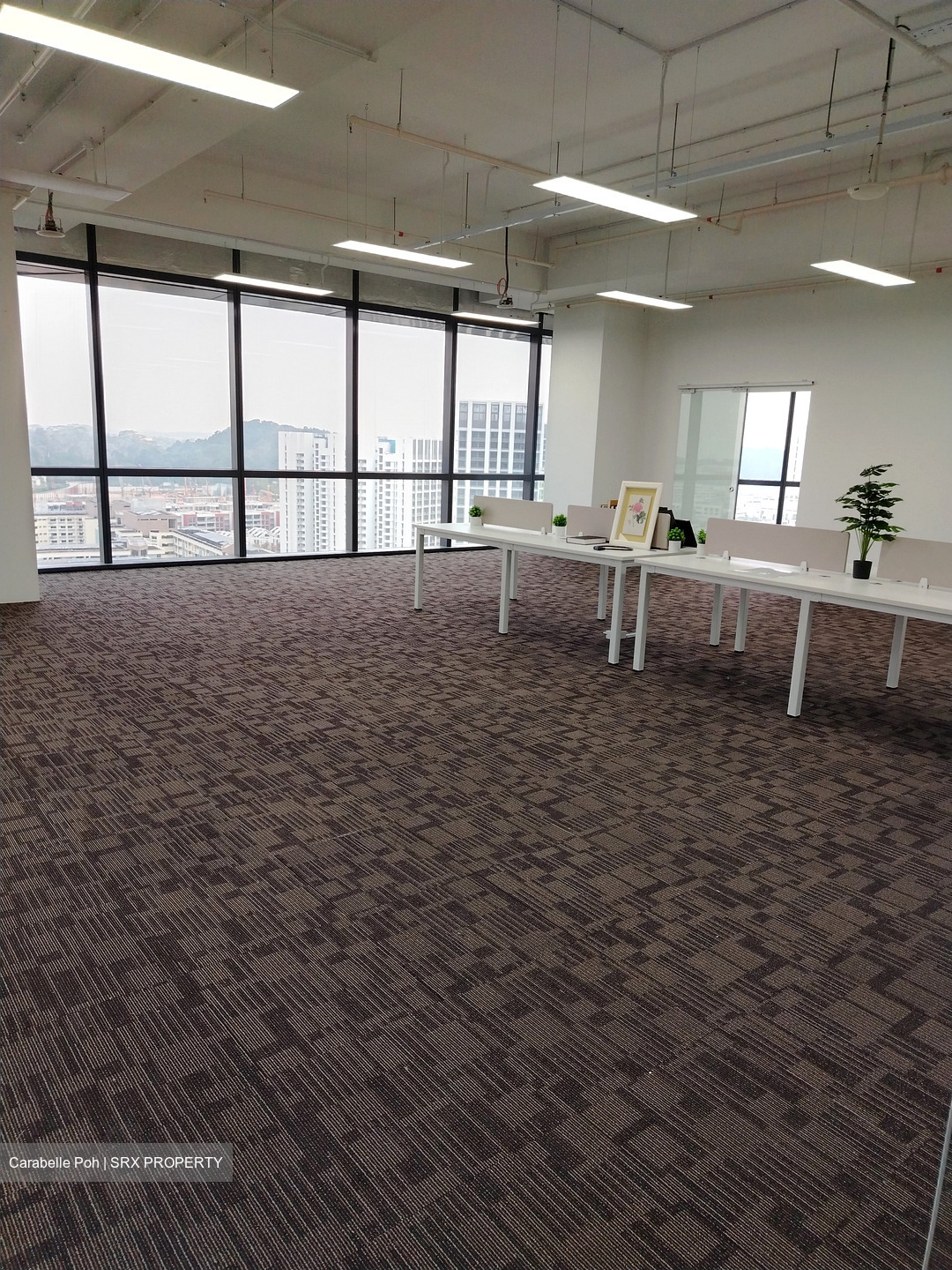 Woods Square (D25), Office #448166431